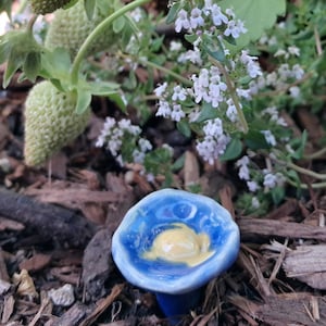 Puede incluir: Una pequeña seta de cerámica azul con un centro amarillo, colocada en un jardín con virutas de madera. La seta está rodeada de plantas verdes, flores blancas y fresas verdes.