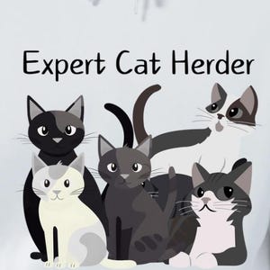 Expert Cat Herder PNG SVG Funny Snarky Shirt Design Sassy Humor Quotes Humor for Women Satire Sarcastic Saying Digital Download Man humor