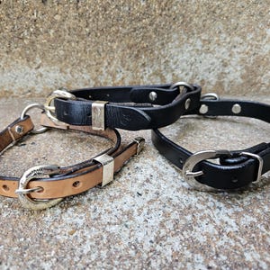 Dog Collar