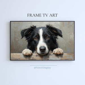 May include: A framed digital art print featuring a black and white Border Collie dog with brown eyes. The dog is resting its paws on a wooden fence. The text "FRAME TV ART" is at the top.