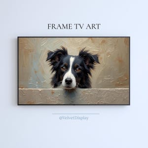 May include: A framed digital art print featuring a Border Collie dog. The dog has black and white fur with brown eyes, peeking over a textured, neutral-toned background. The text "FRAME TV ART" is at the top.