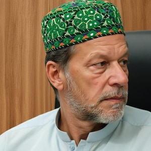 Peut inclure: Un chapeau vert brodé avec un motif géométrique, avec des accents blancs, orange et violets. Le chapeau est porté par une personne portant une chemise bleu clair.