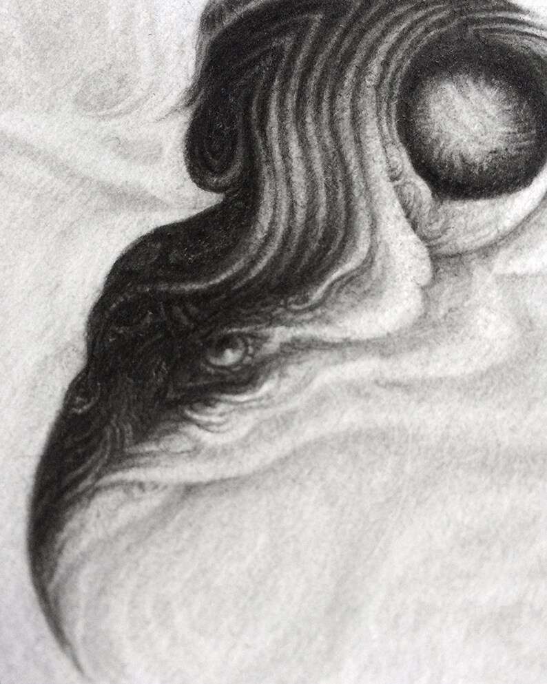 10x15cm Spirit Power Animals Crescent Moon Pencil Animal Illustration Deer Snake Moon Bird ~ Original Graphite Drawing