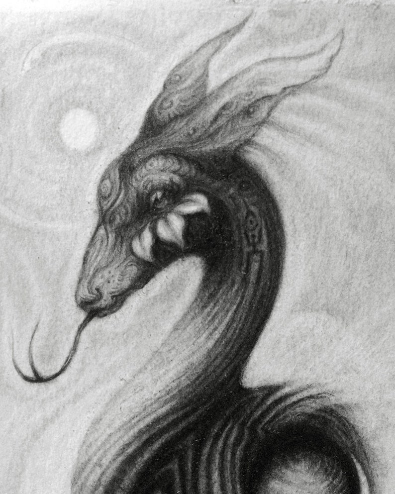 10x15cm Spirit Power Animals Crescent Moon Pencil Animal Illustration Deer Snake Moon Bird ~ Original Graphite Drawing