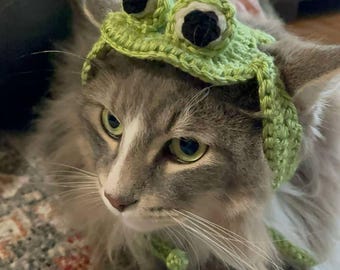 Gorro de gatito, ropa para mascotas, disfraces para gatos, ropa para gatos, gorro para mascotas, disfraz para mascotas, gorro para gatos, gorro de crochet para gatos, disfraz para gatos, gorro de rana