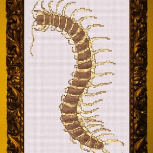 Vintage Centipede Cross Stitch Pattern, Bug Embroidery Design, PDF Instant Download
