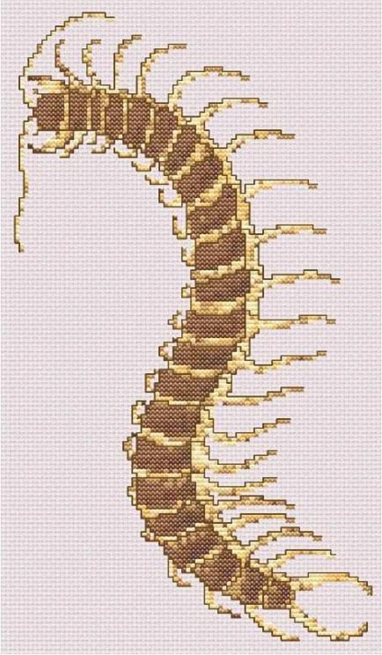 Vintage Centipede Cross Stitch Pattern, Bug Embroidery Design, PDF ...