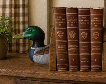 Duck Decoy BOOKENDS. Duck Decoy Box.  Hunting Decor. Lake House Decor.