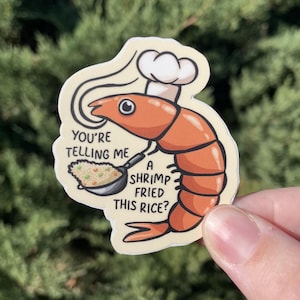 Shrimp Fried Rice Sticker / Vinyl Decal