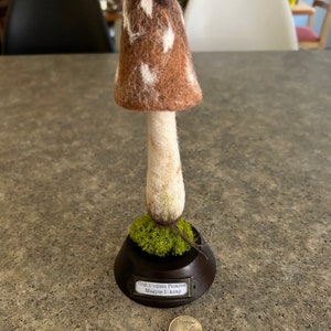 Felted Magpie Inkcap Mushroom Fungus Fungi, Coprinopsis Picacea, Montana Handmade, OOAK
