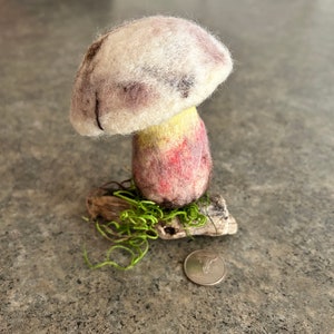 Felted Rooting Bolete Mushroom Fungus Fungi, Caloboletus radicans, Montana Handmade, OOAK