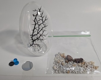 empty glass shrimp ecosphere DIY