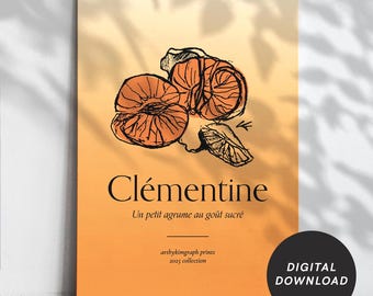 Clementine Wall Art, Fruit Printable Wall Art, Minimalistic Kitchen Wall Art Print, Modern Kitchen Decor, Orange Poster, French Typography