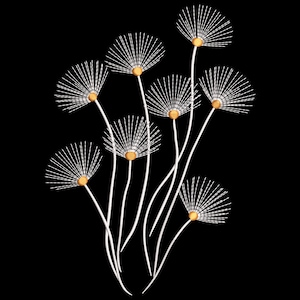 Puede incluir: Una pieza de arte mural decorativa con flores blancas estilizadas con líneas radiantes y centros dorados sobre un fondo negro. Los tallos están curvados, creando un diseño elegante. Adecuado para la decoración del hogar.