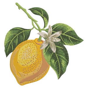Puede incluir: Ilustración bordada de un limón en una rama con hojas y una flor. El limón es amarillo con sombreado marrón, y las hojas son verdes. La flor es blanca y la rama es verde. El diseño está sobre un fondo blanco.