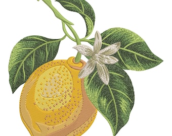 Lemon Embroidery Design: Citrus Branch Machine Embroidery File