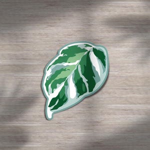 May include: A leaf-shaped sticker with a white border. The sticker features a detailed design of a green and white leaf, with varying shades of green. The sticker is placed on a light brown wooden surface.