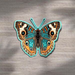 Sticker Junonia-vlinder, op de natuur geïnspireerde kunst, kleurrijk insect, gedurfd grafisch ontwerp