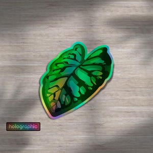 May include: A holographic sticker in the shape of a large green leaf with a detailed vein pattern. The sticker has a rainbow sheen and the word "holographic" is printed on a small rectangular label.