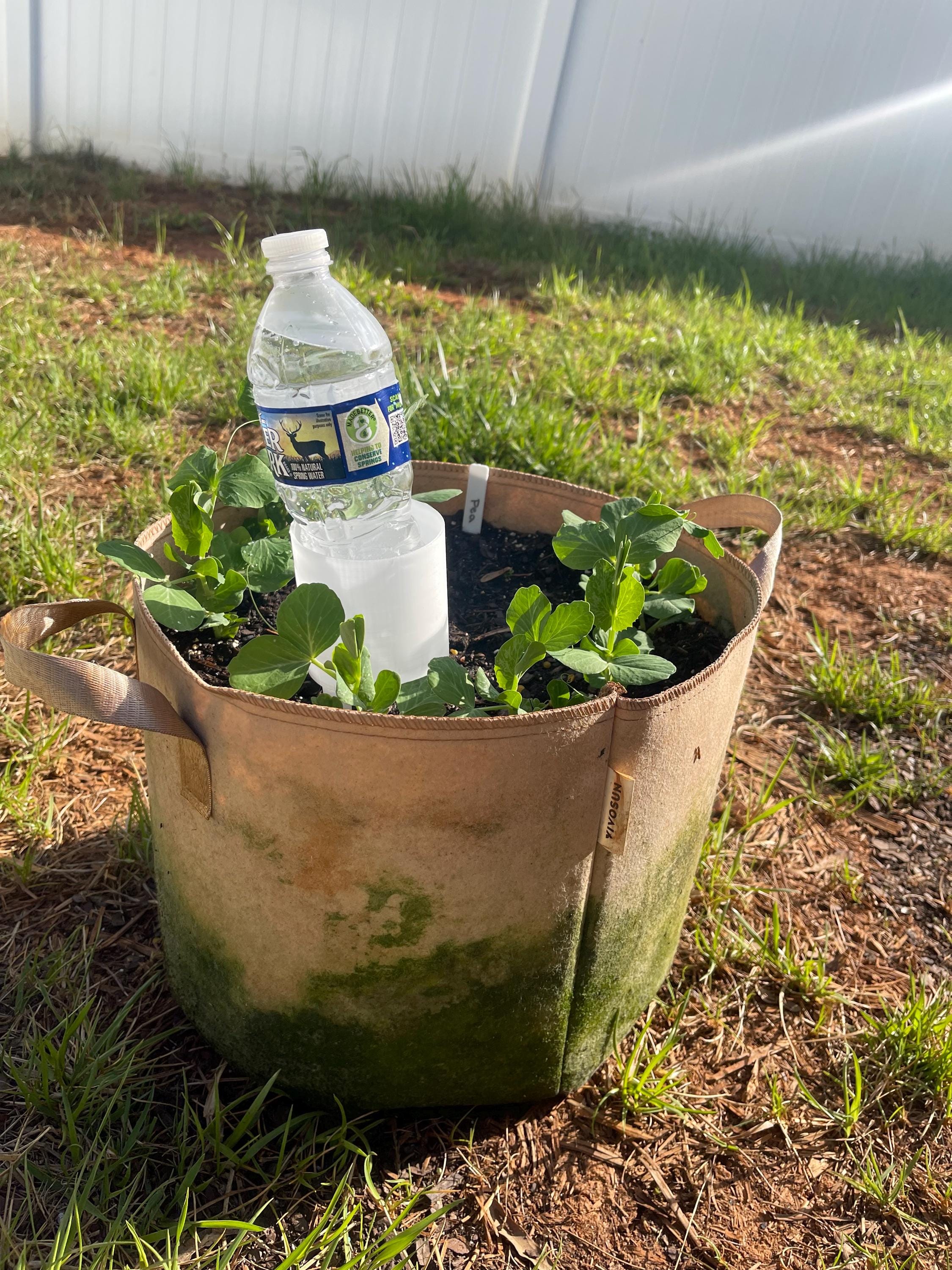 Self Watering Bottle - Etsy