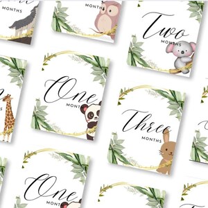 Cartes d'étape mensuelles imprimables pour bébé. Téléchargement instantané et impression.