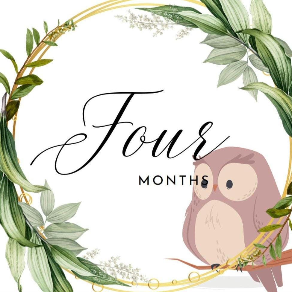 Printable Baby Monthly Milestone Cards. Instant Download and Print. - Etsy