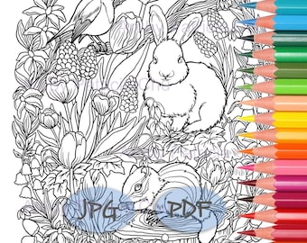 Coloriage Page Animal Floral Art « Le printemps est là » Beau lapin Robin Chipmunk Animaux Printemps Fleurs Tulipe Muguet Téléchargement numérique