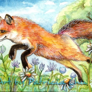 Artist Trading Cards Art Collectibles 2 5 X 3 5 Inches Aceo Limited Edition Art Print Fox In The Valley Animal Art From Original Painting By Patricia Chu