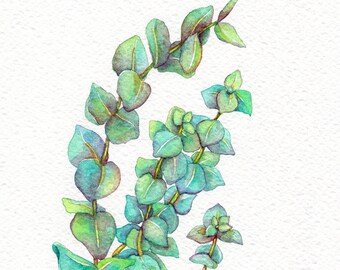 Original Watercolor Gouache Painting 5.75x8.25 inches " Eucalyptus 02 " Foliage Greenery Botanical Illustration Art by Patricia