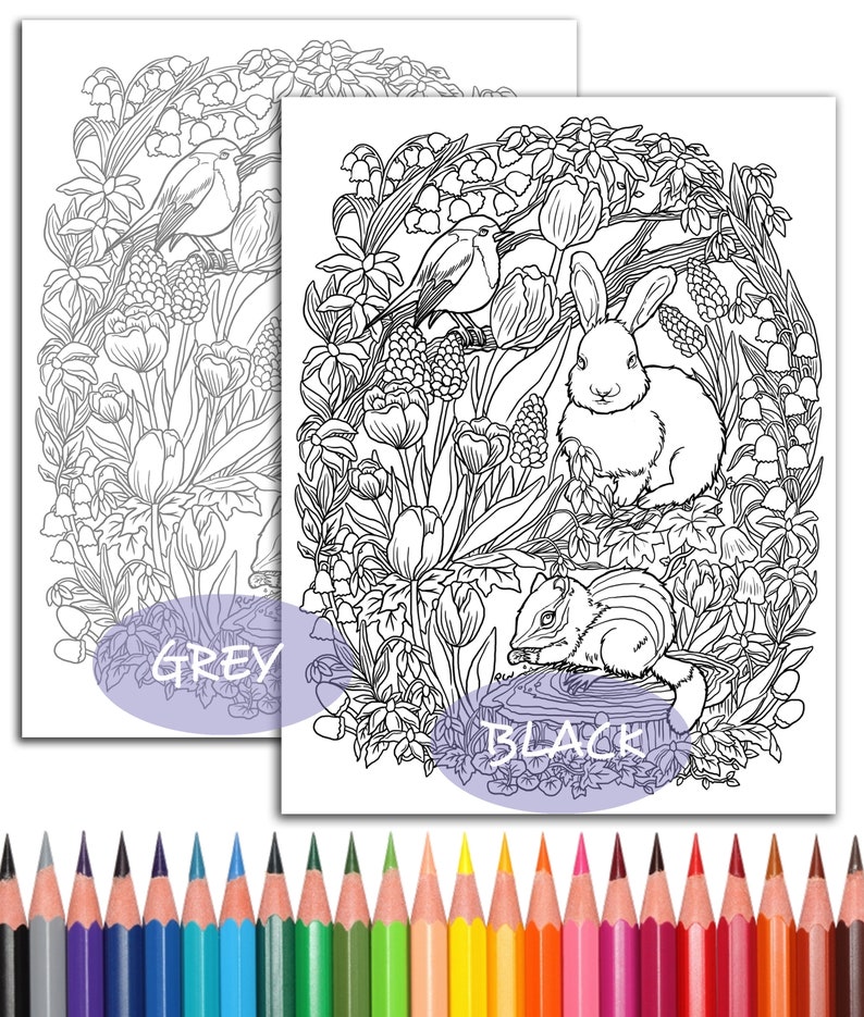 Coloring Page Animal Floral Art Spring is Here Lovely Bunny Robin ...