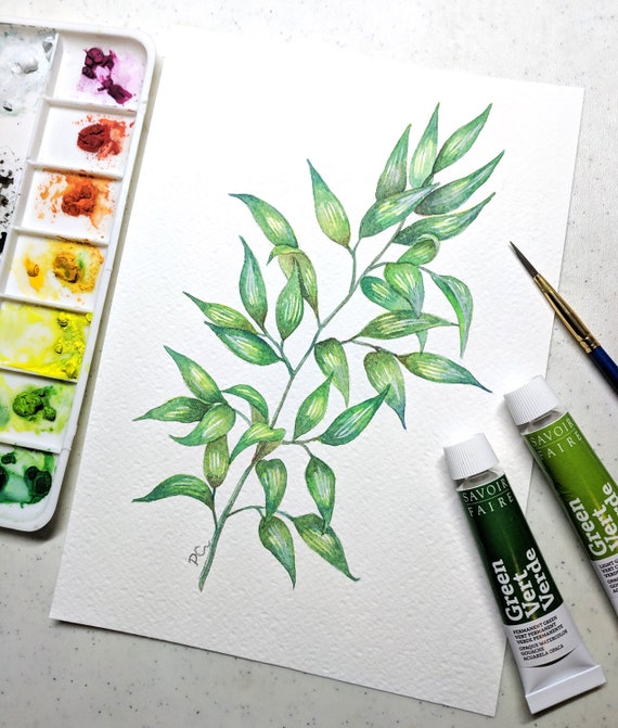 images Seeded Eucalyptus Paint staimnglawak ac id