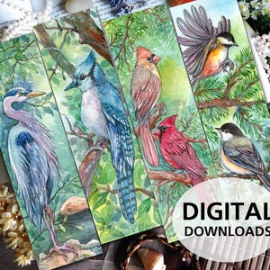 Puede incluir: Cinco marcapáginas de acuarela con diferentes pájaros en un entorno de bosque. Los marcapáginas son todos rectangulares y tienen un fondo blanco con follaje verde y pájaros de varios colores, incluidos azul, rojo y marrón.