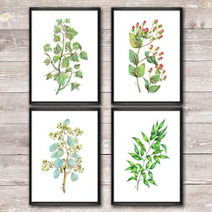 May include: Set of four botanical illustrations featuring different types of leaves and flowers. The illustrations are done in watercolor and feature a variety of green hues, with red accents in the flower illustration.
