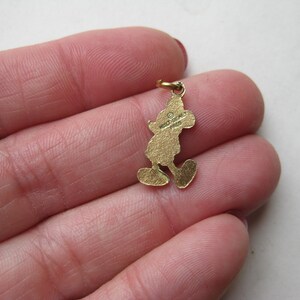 Puede incluir: Un charm de Mickey Mouse de color dorado. El charm tiene la forma de Mickey Mouse con un peque&ntilde;o lazo en la parte superior para sujetarlo a una cadena o pulsera. La parte posterior del charm tiene el texto "WALT DISNEY PARIS".