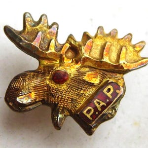 Vintage 50s Loyal Order of Moose 14k Gold Enamel Lodge Member Lapel Pin