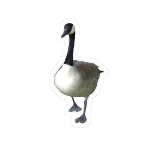 Quirky Goose Kiss-Cut Stickers | Fun Laptop Decals, Creative Scrapbooking, Unique Gift Ideas, Nature Lover Stickers, Humorous Quote Decor
