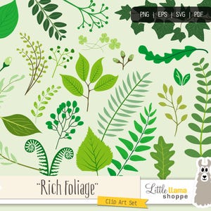 Botanical Clipart SVGs and PNGs, Greenery Vector Clip Art, Eucalyptus Leaves, Ferns, Foliage Clip Art, Floral Clipart, Vines, Commercial Use