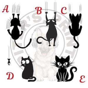 Crazy Cat Decals, Vinyl Cat Sticker, Cat Sticker, Permanent Vinyl Cat Car Decal, Water Bottle Decal, Cat Silhouette, Window Decal, Black Cat