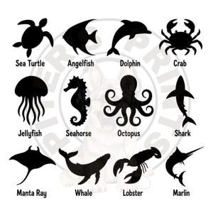 May include: A collection of twelve black silhouettes of marine animals arranged in three rows, each labeled with its name: Sea Turtle, Angelfish, Dolphin, Crab, Jellyfish, Seahorse, Octopus, Shark, Manta Ray, Whale, Lobster, and Marlin.
