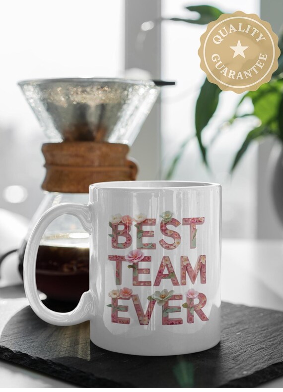 Best Team Ever Mug, Office Appreciation Gift, Coworker Thank You Coffee  Cup, Employee Recognition Mug, Teamwork Office Gift