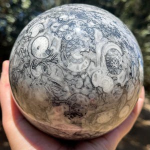 Crinoid Fossil Sphere