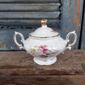 Winterling Bavarian China Sugar Bowl Multi Colored Irises