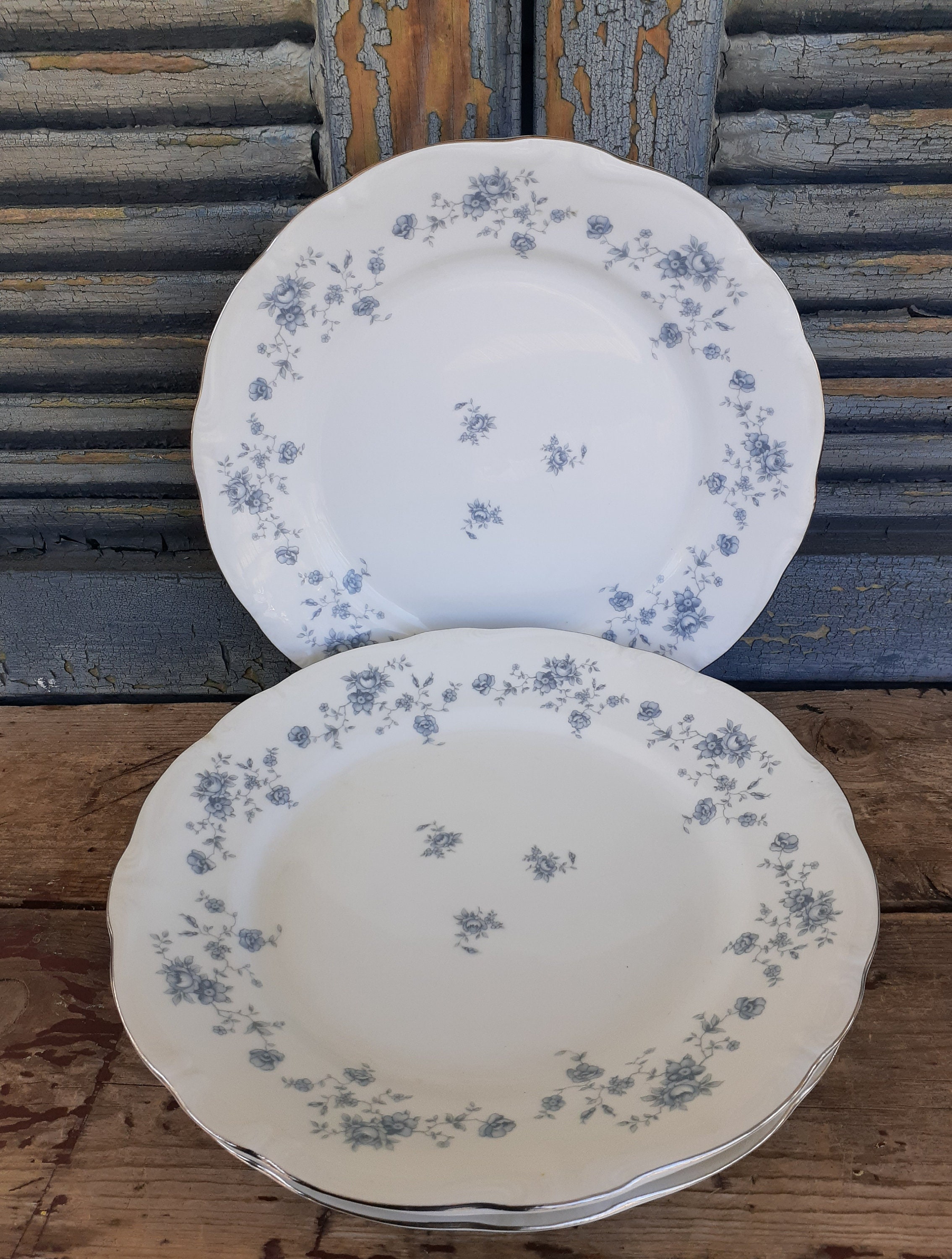 Johann Haviland Blue Garland Dinner Plates Set of Bavarian