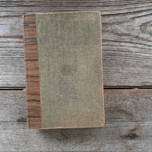 vintage The Bobbsey Twins in Echo Valley 1943 Laura Lee Hope