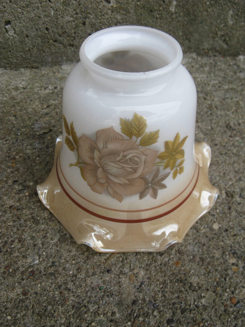 Glass Light Shade Ceiling Fan Shade Chandelier Shade Wall Sounce Shade Cased Glass Peach Lustre Details Floral Details