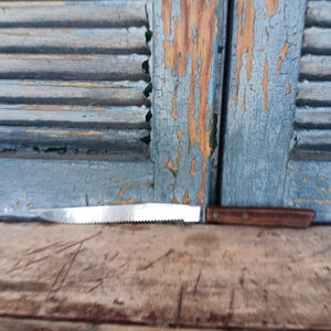 Vintage Ranchero Bread Knife Stainless Steel Wooden Handle Made in Japan Mid Century Cutlery