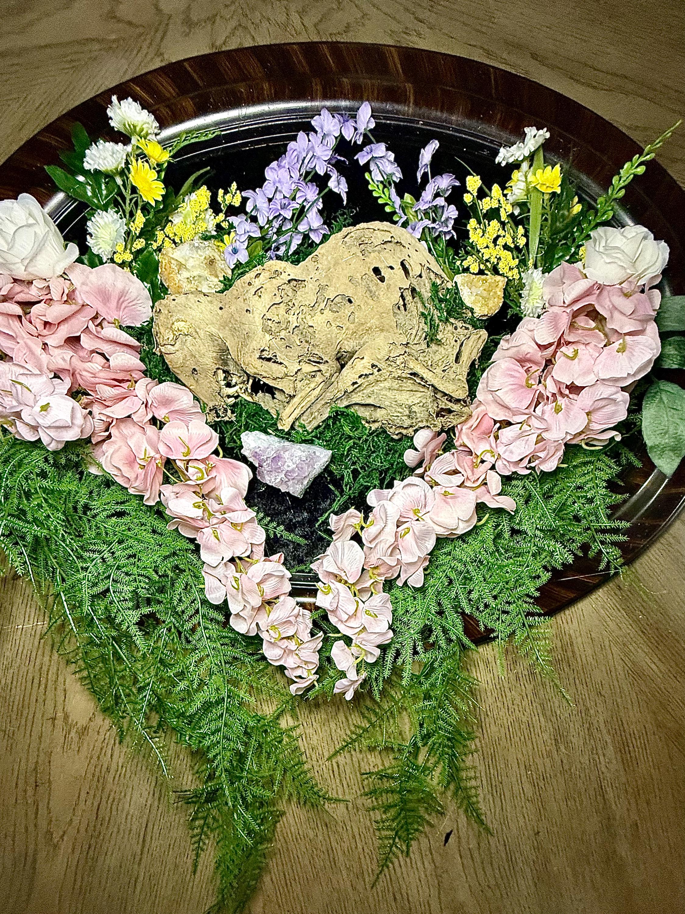 Possum mummy resting peacefully among an assortment of flowers and gems