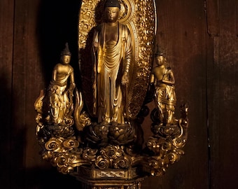 Tall Japanese Edo Period Amida Nyorai Buddha Triad – Japanese Sanzon Statue | Glass Eyes, Golden Patina | Antique Buddhist Wood Sculpture