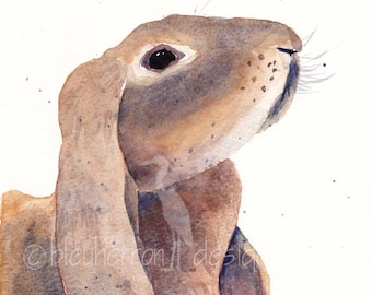 lop bunny painting- Otis- watercolor animal print