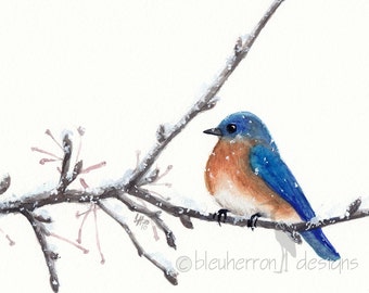 watercolor bird- Bluebird- art print